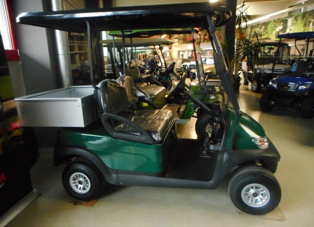 WSM EX1300 GolfCart mit Transportbox grün