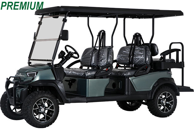 MK1400+2 Premium GolfCart in grau-metallic