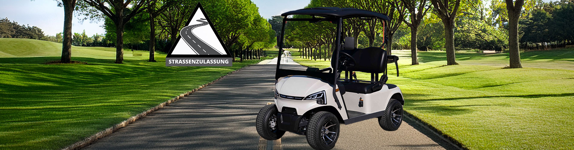 JX2-105 GolfCart mit Straßenzulassung
