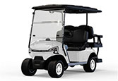GolfCart JX2+2