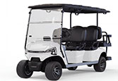 JX4+2 GolfCart